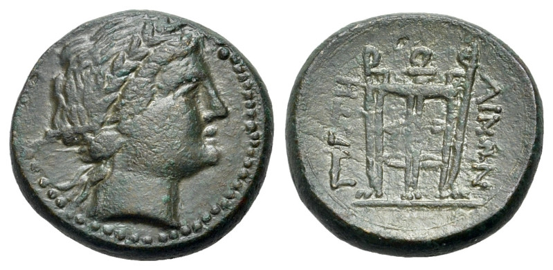 Italy. Bruttium, Petelia, c. 215-204 BC. Æ (19mm, 5.62g.,4h). Laureate head of A...