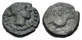 Sicily, Panormos, after 241 BC. Æ (10mm, 1.36g., 3h). Wreathed female head r. R/ Dove r., wings closed; monogram above. CNS I, 52; HGC 2, 1092.
