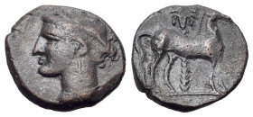 Carthaginian Domain, Sicily, c. 340-320 BC. Æ (15mm, 2.63g., 6h). Palm tree. R/ Pegasos flying l.. CNS III 16; SNG Copenhagen 107