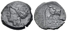 North Africa, Carthage, c. 300-264 BC. Æ (19mm, 4.32g., 3h). Uncertain mint, c. 300-264 BC. Wreathed head of Tanit l. R/ Head of horse r.; palm tree b...