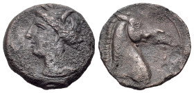 North Africa, Carthage, c. 300-264 BC. Æ (18mm, 3.84g., 12h). Head of Tanit l., wearing grain wreath and pendant earring. R/ Head of horse r.; Punic l...