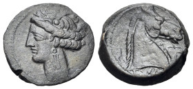 North Africa, Carthage, c. 300-264 BC. Æ (19mm, 4.74g., 12h). Uncertain mint, c. 300-264 BC. Wreathed head of Tanit l. R/ Head of horse r.; palm tree ...