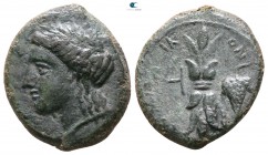 Sicily. Alaisa Archonidea. Alliance Coinage circa 325-317 BC. Hemilitron Æ. Litra Standard