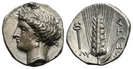 Lucania. Metapontum. Stater. Circa 340-330 BC (Silver, 21.56 mm, 7.89 g). Wreathed head of Demeter left. Rev. ME - TA, Ear of grain with leaf on right...