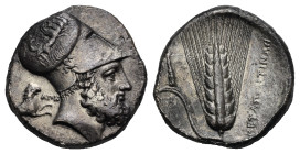 Lucania. Metapontum. Distater. Circa 340-330 BC (Silver, 25.76 mm, 15.49 g). Head of Leukippos right, wearing Corinthian helmet decorated with hippoca...