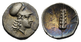 Lucania. Metapontum. Diobol. Circa 325-275 BC (Silver, 11.82 mm, 1.23 g). Helmeted head of Athena right. Rev. META, Ear of grain with leaf on right; a...