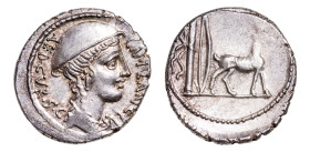 Cn. Plancius AR-Denarius (18.9 mm, 3.74 g, 5h). Rome mint, 55 BC.
Obv. Head of Diana Planciana to right, wearing petasus; CN•PLANCIVS AED•CVR•S•C arou...