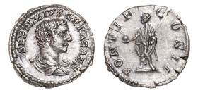 Geta as Caesar (AD 198-209) AR-Denarius (18.4mm, 2.98g, 12h). Rome mint, struck AD 209.
Obv. P SEPTIMIVS GETA CAES, bare headed and draped bust right....