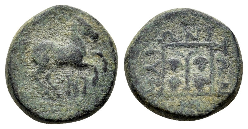 AEOLIS. Temnos (Circa 3rd century BC). Ae

Obv: Bearded head of Dionysos to left...