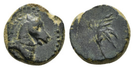 ASIA MINOR. Uncertain (Pontos?). Ae (2nd-1st century BC).

Obv: Head of horse right.
Rev: Filleted palm frond (?).
SNG BM Black Sea - (cf. 984); SNG S...