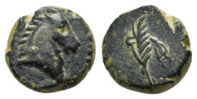 ASIA MINOR. Uncertain (Pontos?). Ae (2nd-1st century BC).

Obv: Head of horse right.
Rev: Filleted palm frond (?).
SNG BM Black Sea - (cf. 984); SNG S...