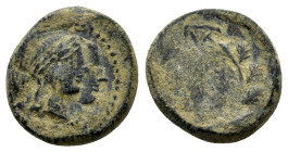 UNIDENTIFIED GREEK COINS.(1st-4th Century).Ae.

Condition : Good very fine.

Weight : 4.04 gr.
Diameter : 14 mm.