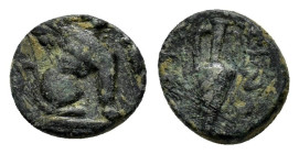 UNIDENTIFIED GREEK COINS.(1st-4th Century).Ae.

Condition : Good very fine.

Weight : 0.82 gr.
Diameter : 9 mm.