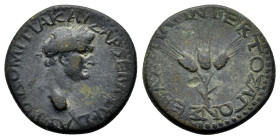 GALATIA. Ancyra. Domitian (Caesar, 69-81). Ae. 

Obv: AYTO ΔOMITIA KAIΣAP ΣEBAΣ YIOΣ. Laureate head right. 
Rev: ΣEBAΣTHNΩN TEKTOΣAΓΩN. Three grain ea...