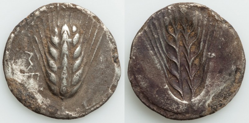 LUCANIA. Metapontum. Ca. 540-510 BC. AR stater or nomos (28mm, 7.12 gm, 12h). VF...