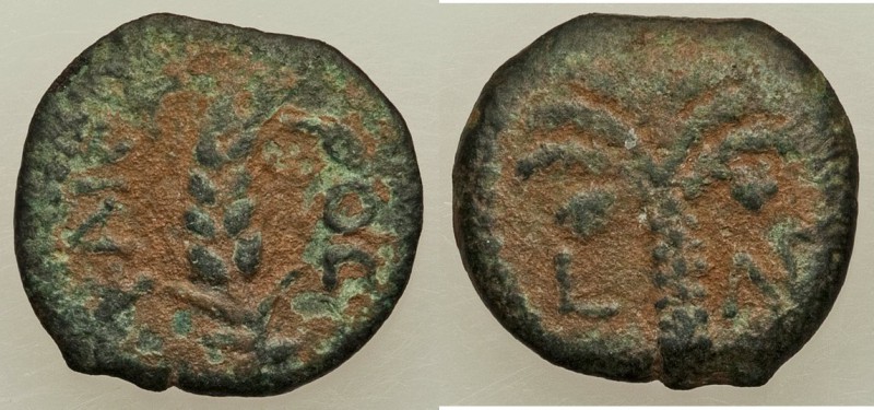 JUDAEA. Roman Procurators. Coponius (AD 6-9) AE prutah (15mm, 2.13 gm, 11h). VF....