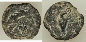 JUDAEA. Roman Procurators. Valerius Gratus (AD 15-25). AE prutah (16mm, 1.86 gm, 4h). VF. Jerusalem, Regnal Year 4 of Tiberius (AD 17/8). IOYΛIA, vine...