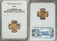 Newfoundland. Victoria gold 2 Dollars 1882-H AU58 NGC, Heaton mint, KM5.

HID09801242017