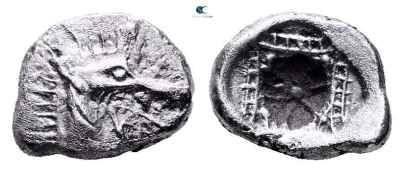 Caria. Kindya circa 510-490 BC. 
Tetrobol AR

13 mm, 1,71 g



Very Fine
