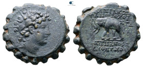 Seleukid Kingdom. Antioch on the Orontes. Antiochos VI Dionysos 144-142 BC. Serrate Æ