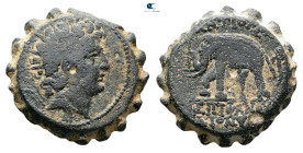 Seleukid Kingdom. Antioch on the Orontes. Antiochos VI Dionysos 144-142 BC. Serrate Æ