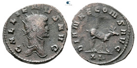 Gallienus AD 253-268. Rome. Antoninianus Æ