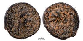 SELEUKID EMPIRE. Antiochos IV Epiphanes. 175-164 BC. Æ (15 mm, 2.73 g.). Ptolemaïs (Ake) mint. Veiled and diademed bust right of Laodike IV; monogram ...