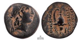SELEUKID EMPIRE. Tryphon. Circa 142-138 BC. Æ (17 mm, 5.20 g.). Antioch on the Orontes mint. Diademed head right / Macedonian helmet with ibex horn le...