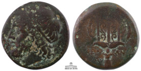 SICILY, Syracuse. Hieron II. 275-215 BC. Æ (22 mm, 8.09 g.). Diademed head of Poseidon left / Ornamented trident; flanked by dolphins downward.