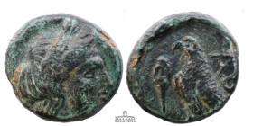 TROAS, Abydos. 4th century BC. Æ (12 mm, .98 g.). Laureate head of Apollo right / Eagle standing left; amphora to left. 