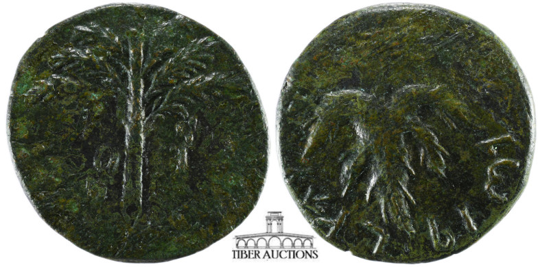JUDAEA, Bar Kochba Revolt. 132-135 CE. Æ (24 mm, 12.24 g.). Dated year 2 (133/4 ...