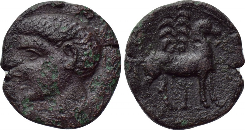 IBERIA. Punic Iberia. Unit (Circa 237-209 BC). 

Obv: Bare male head left.
Re...