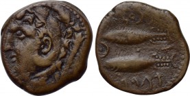 IBERIA. Gadir. Unit (Late 2nd century BC). 

Obv: Head of Herakles-Melkart left, wearing lion skin; club to right.
Rev: Two tunny fish left; pellet...