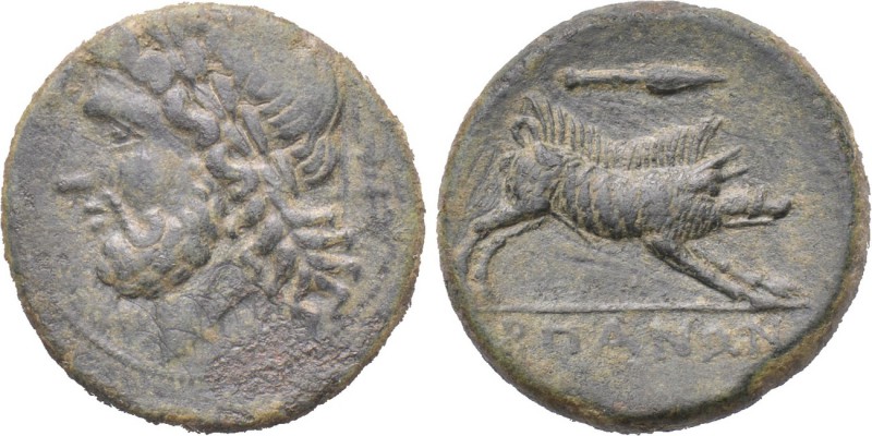 APULIA. Arpi. Ae (Circa 325-275 BC). 

Obv: Laureate head of Zeus left; thunde...