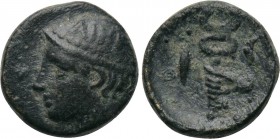 THRACE. Ainos. Ae (5th-4th centuries BC). 

Obv: Head of Hermes left, wearing petasos inscribed AINI.
Rev: I - A. 
Hand left holding kerykeion.
...