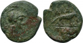 THRACE. Alopeconnesos. Ae (Circa 400-300 BC). 

Obv: Helmeted head of Athena right.
Rev: ΑΛΩ / ΠΕΚΟΝ. 
Fox standing right; in field right, grain e...