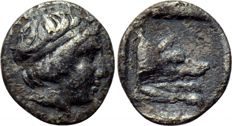 ASIA MINOR. Uncertain. Hemiobol (Circa 4th century BC). 

Obv: Head of Apollo ...