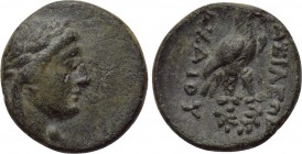 SELEUKID KINGDOM. Achaios (Usurper, 220-214 BC). Ae. Sardes. 

Obv: Laureate head of Apollo right.
Rev: BAΣIΛEΩΣ / AXAIOY. 
Eagle standing right, ...