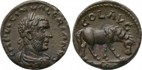 TROAS. Alexandria. Valerian I (253-260). As. 

Obv: IMP LICIN VALERIANVS. 
Laureate, draped and cuirassed bust right.
Rev: COL AVG / TRO. 
Horse ...