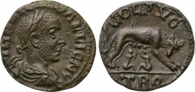 TROAS. Alexandria. Gallienus (253-268). As. 

Obv: IMP LICIN GALLIENV. 
Laureate, draped and cuirassed bust right.
Rev: COL AVG / TRO. 
Lupa Roma...