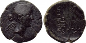 PHRYGIA. Eumenea (as Fulvia). Fulvia, first wife of Mark Antony (83/73-40 BC). Ae. Zmertorix, son of Philonides, magistrate. 

Obv: Draped bust of F...