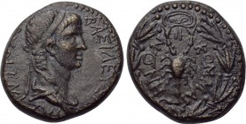 KINGS OF COMMAGENE. Antiochos IV Epiphanes (38-72). Ae. Samosata. 

Obv: BAΣIΛΕΥΣ MΕΓΑΣ ANTIOXOΣ. 
Diademed and draped bust right.
Rev: KOMMAΓHNON...
