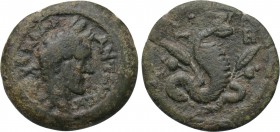 EGYPT. Alexandria. Antoninus Pius (138-161). Obol. Dated RY 8 (144/5). 

Obv: ΑVΤ Κ ΑΔΡ ΑΝΤωΝΙN. 
Laureate head right.
Rev: L H. 
Uraeus serpent ...