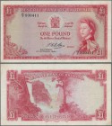 Rhodesia: 1 Pound 05.10.1964 P. 25, portrait QEII, 6 tiny pinholes, vertical and horizontal folds, probably pressed dry, no other holes, no tears, bri...