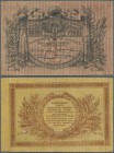 Russia: North Caucasus, Soviet Peoples Commissariat of the Terek Republic 1 Ruble 1918, P.S529, used condition with several folds and tiny hole at cen...