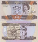 Solomon Islands: Central Bank of Solomon Island 20 Dollars ND(1984), P.12 in perfect UNC condition.
 [plus 19 % VAT]