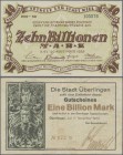 Deutschland - Notgeld: Billionen, 25 Billionenscheine mesit aus dem Süden, mit Haslach, Kaiserslautern, Konstanz, Lahr, Lenep, Überlingen etc., üblich...