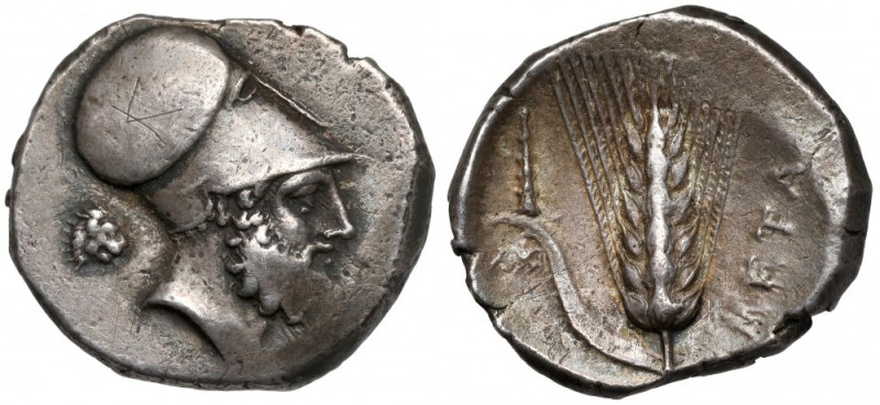 Grecja, Lukania, Metapontum, Nomos (340-330 p.n.e.) Awers: Głowa Leukipposa z br...