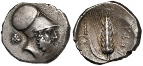 Grecja, Lukania, Metapontum, Nomos (340-330 p.n.e.)
