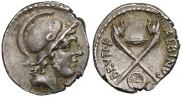 Republika, Albinus Bruti f. (48 p.n.e.) Denar, Rzym - Carnyx